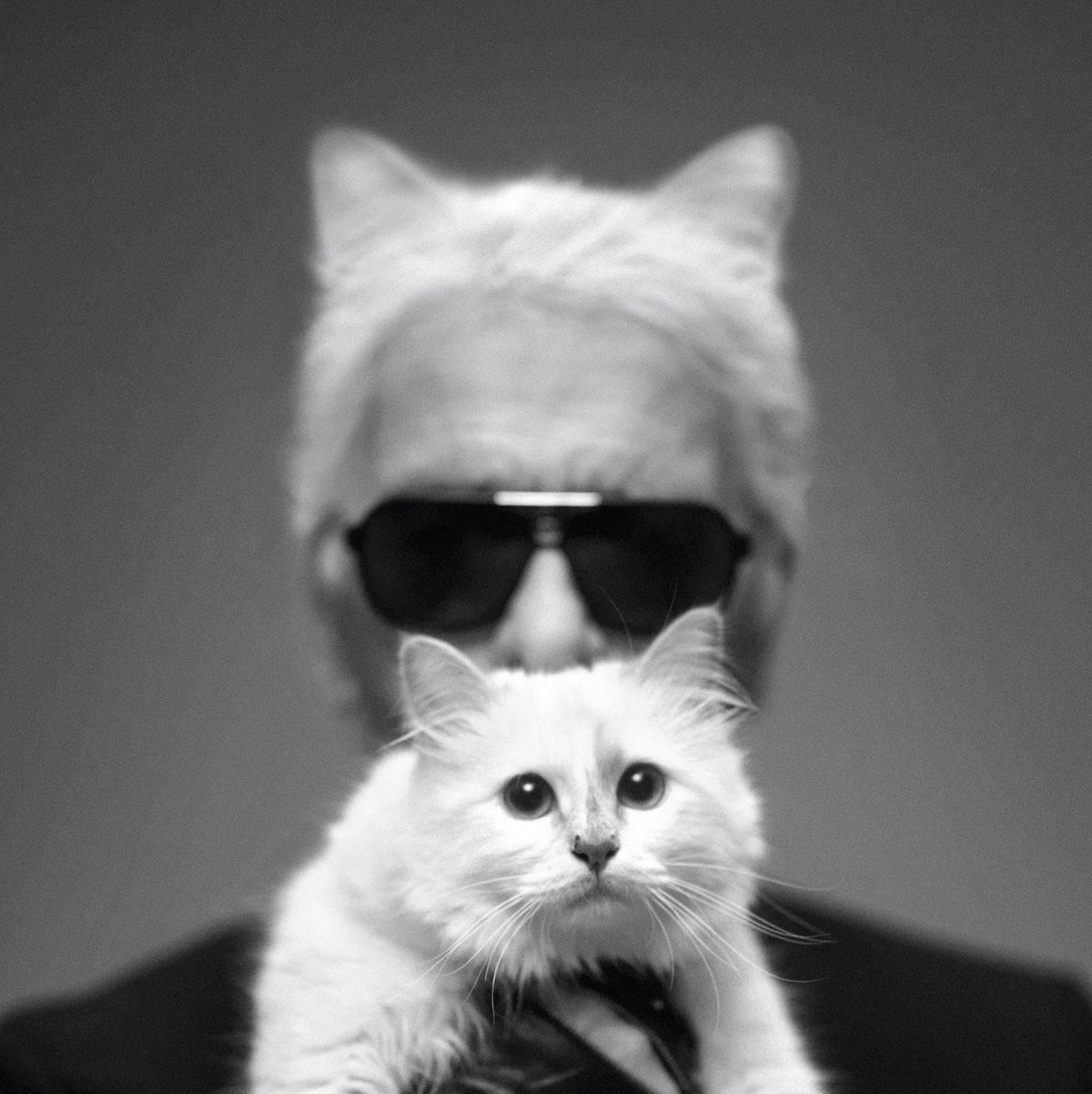 El gato Choupette de Karl Lagerfeld 