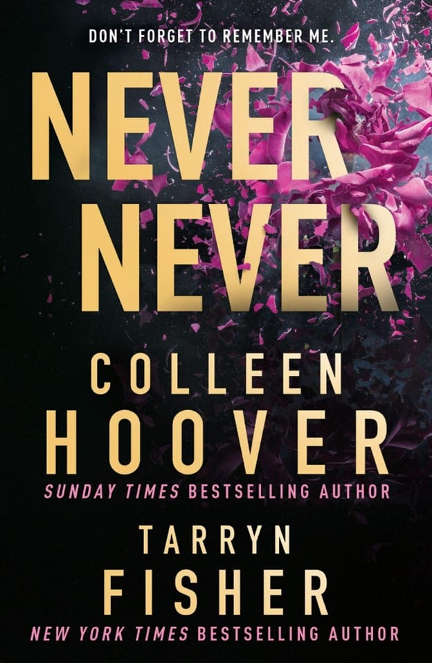 Cover image of the book named "Never Never".