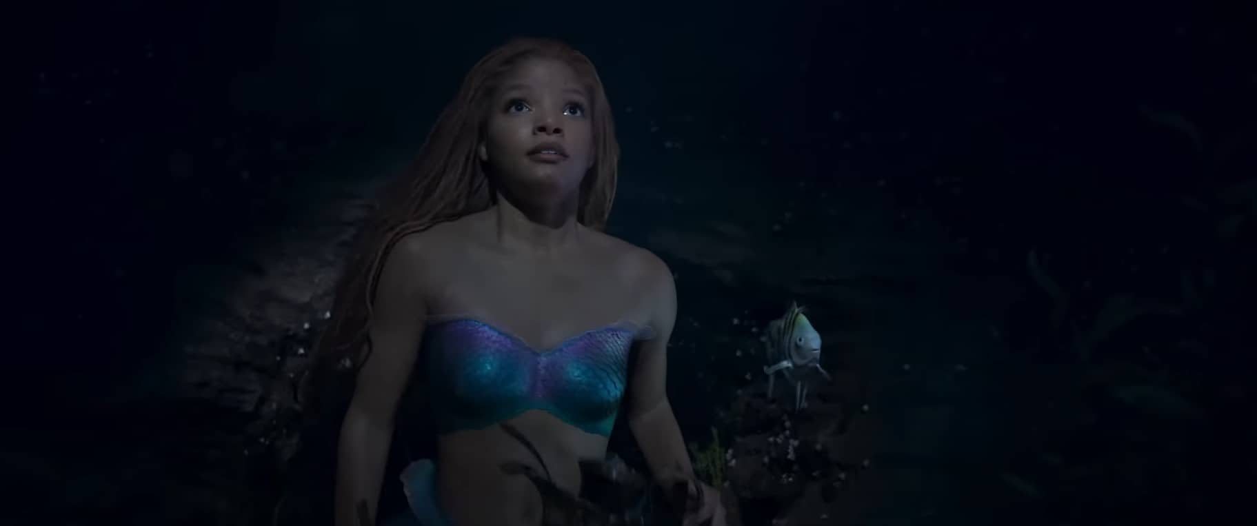 The Little Mermaid Controversy