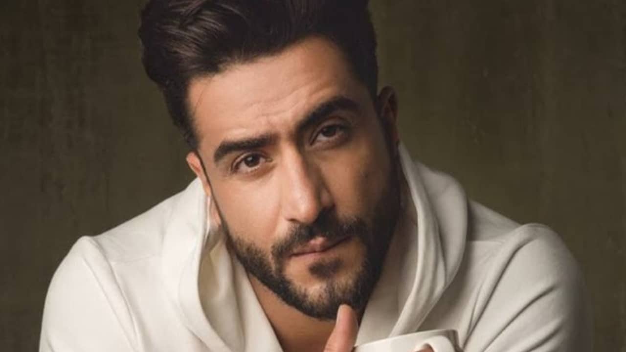 Aly Goni And Natasa Stankovic's Break Up