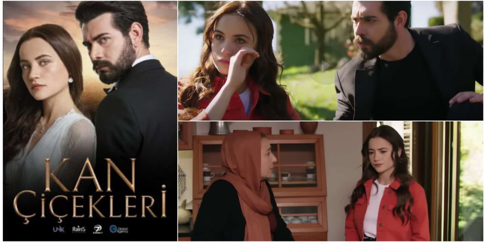 Phim truyền hình Thổ Nhĩ Kỳ Kan Cicekleri Tập 117 Ngày phát sóng