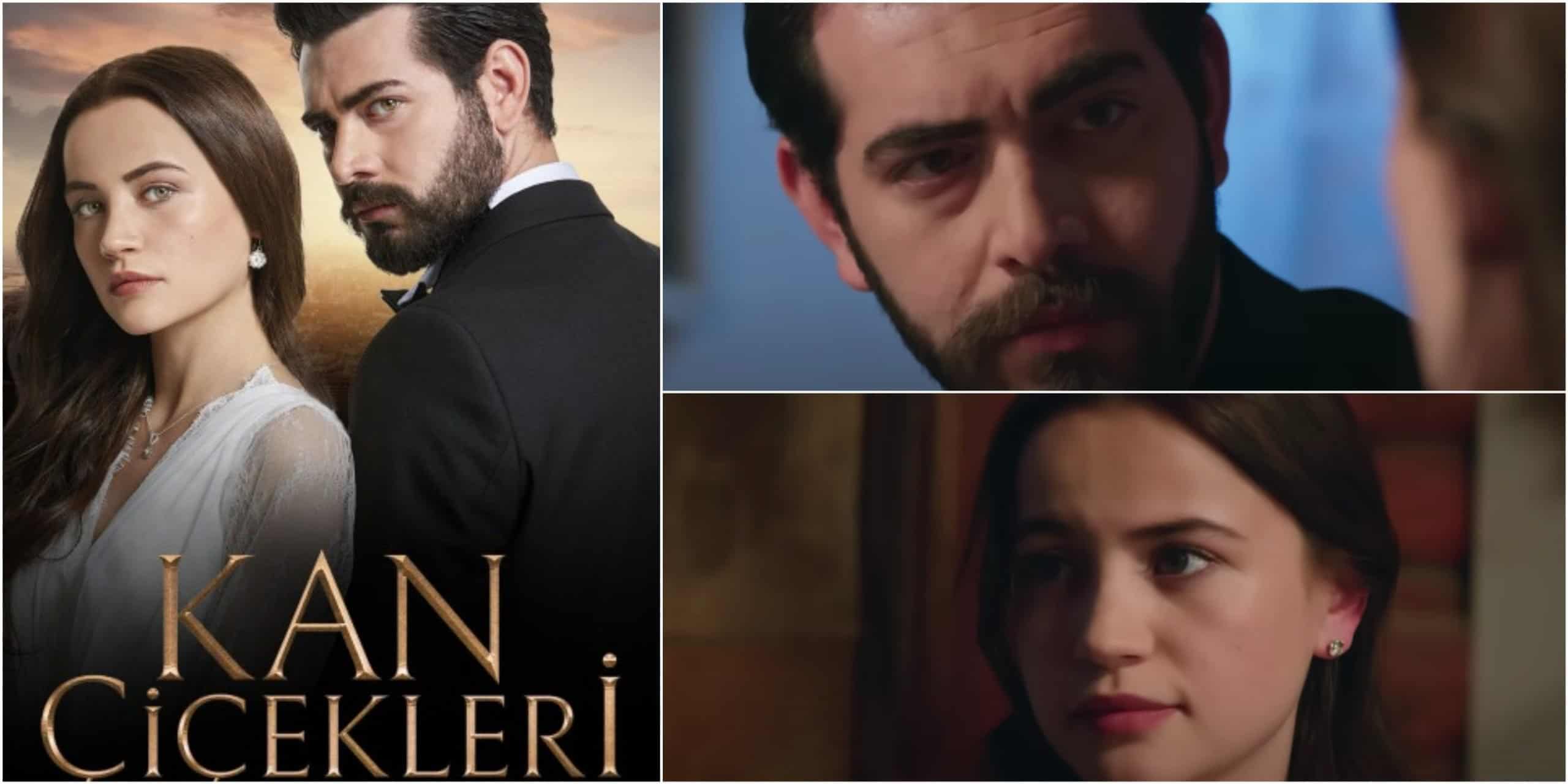 Turkish Romance Drama Kan Çiçekleri Episode 123 Release Date