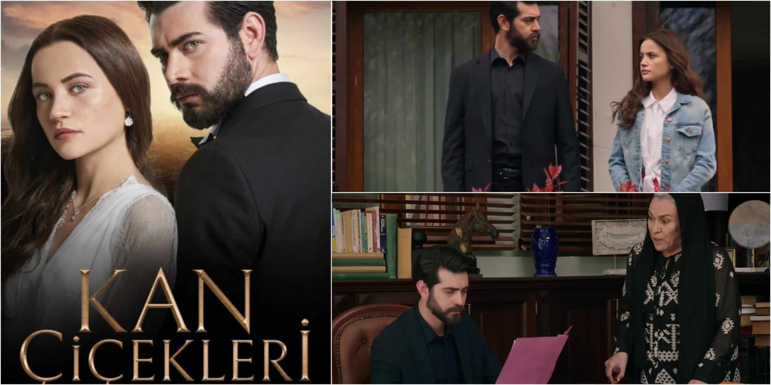 Turkish Romance Series Kan Çiçekleri Episode 124 Release Date
