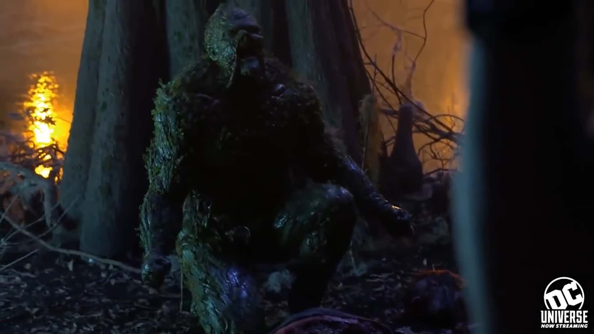 Swamp Thing Cancelled