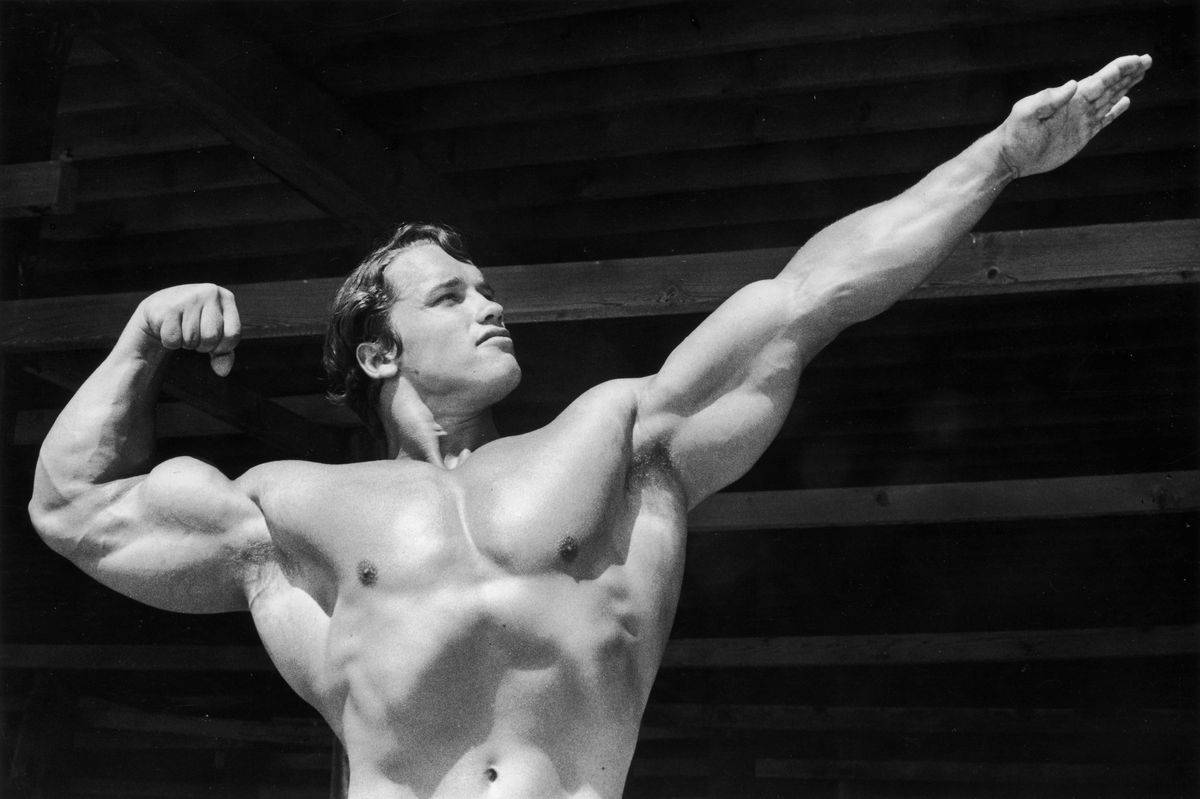 A young Arnold Schwarzenegger. 