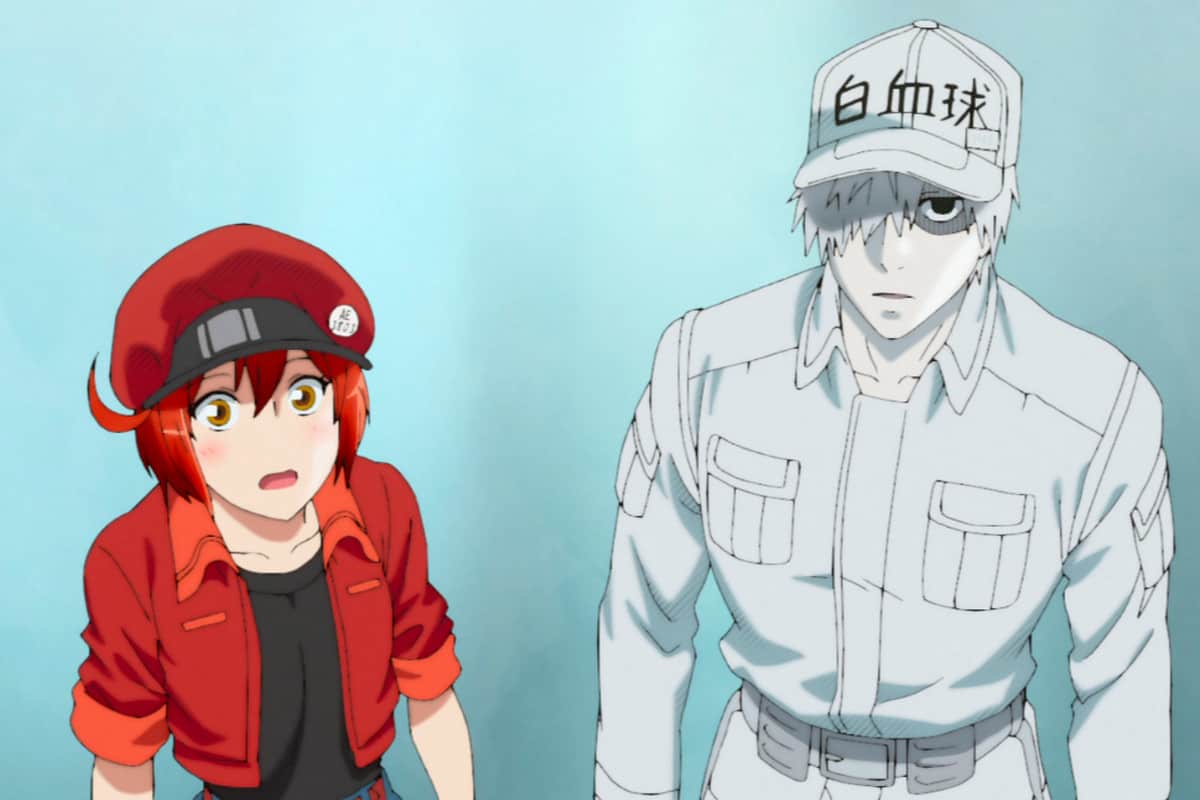 Anime Red blood cell and White blood cell looking at the sky