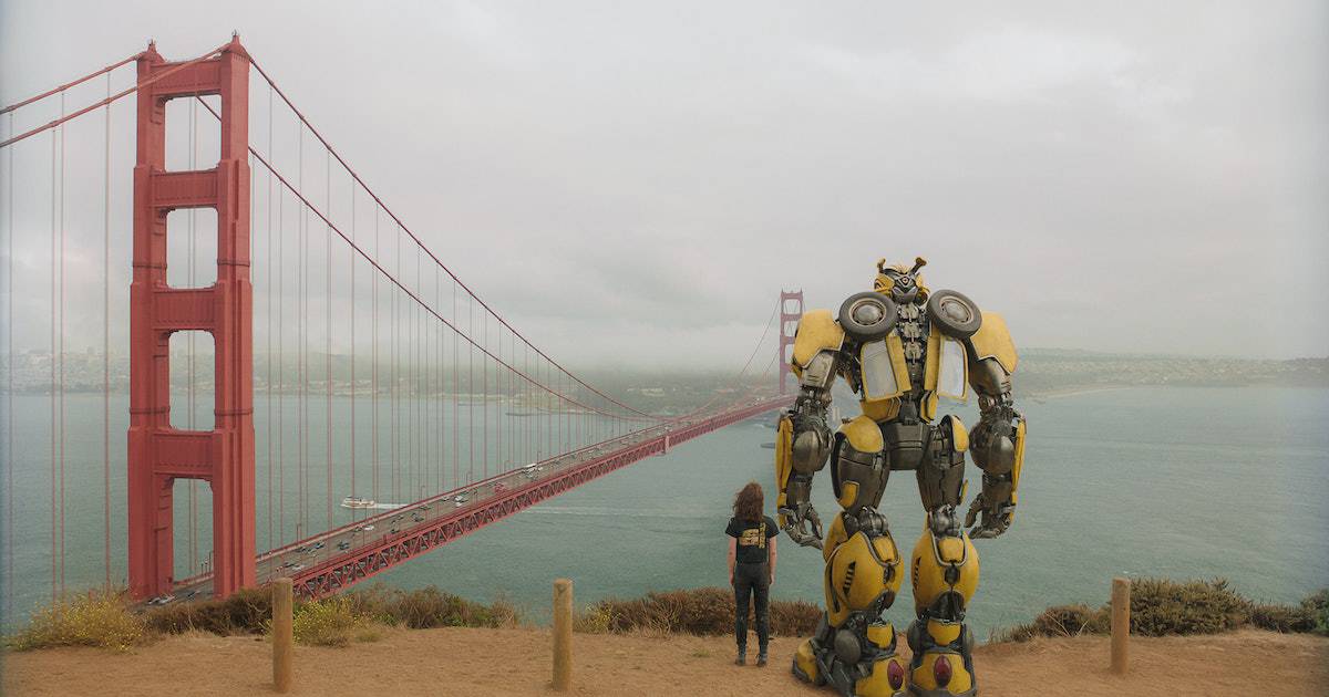 Charlie And Bumblebee At The Golden Gate Bridge