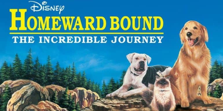 Homeward Bound Filming Locations: Where is the Movie Filmed? - OtakuKart