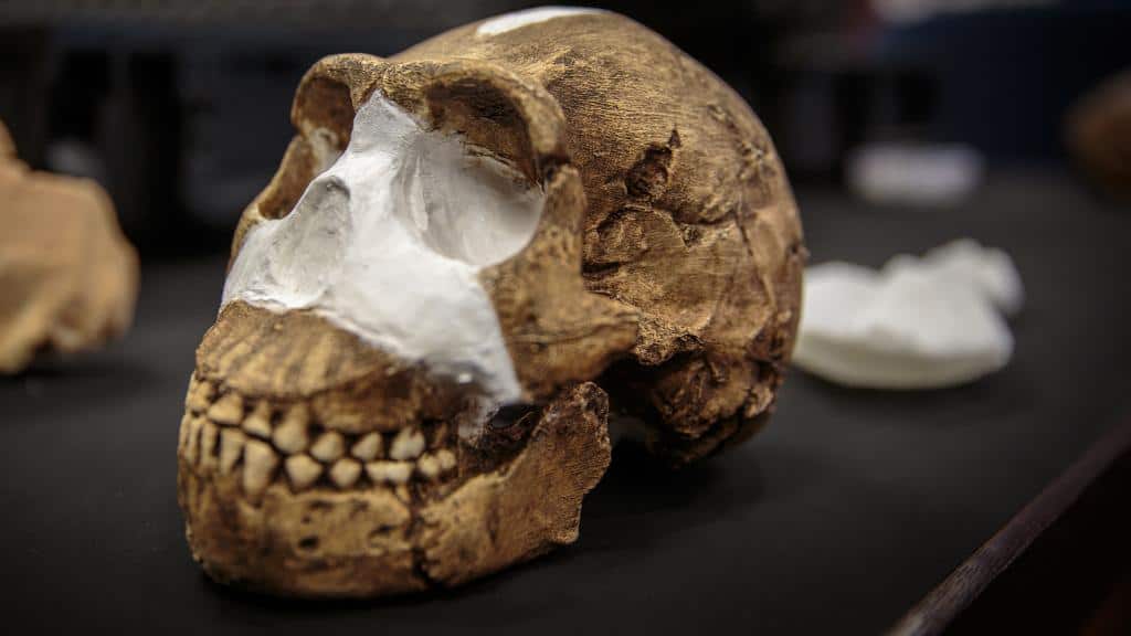 Homo Naledi Unveiled Lee Berger's discovered the secrets in the cave of Bones. (Credits: The Times)