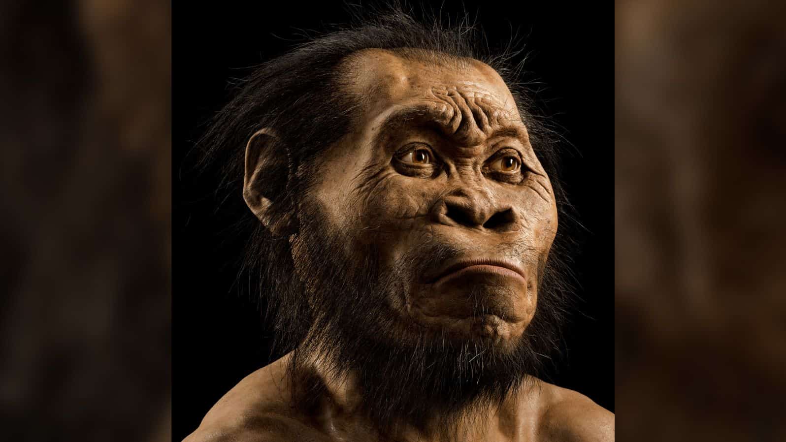 Homo Naledi Unveiled: Lee Berger's discovered the secrets of the cave of Bones. (Credits: CNN)