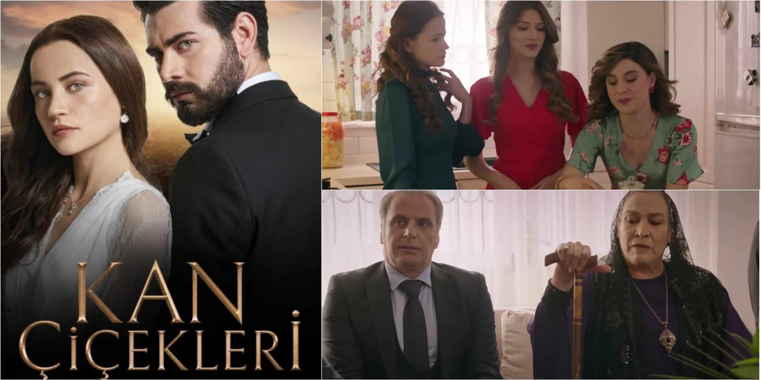 Turkish Romance Drama Kan Çiçekleri Episode 143 Release Date