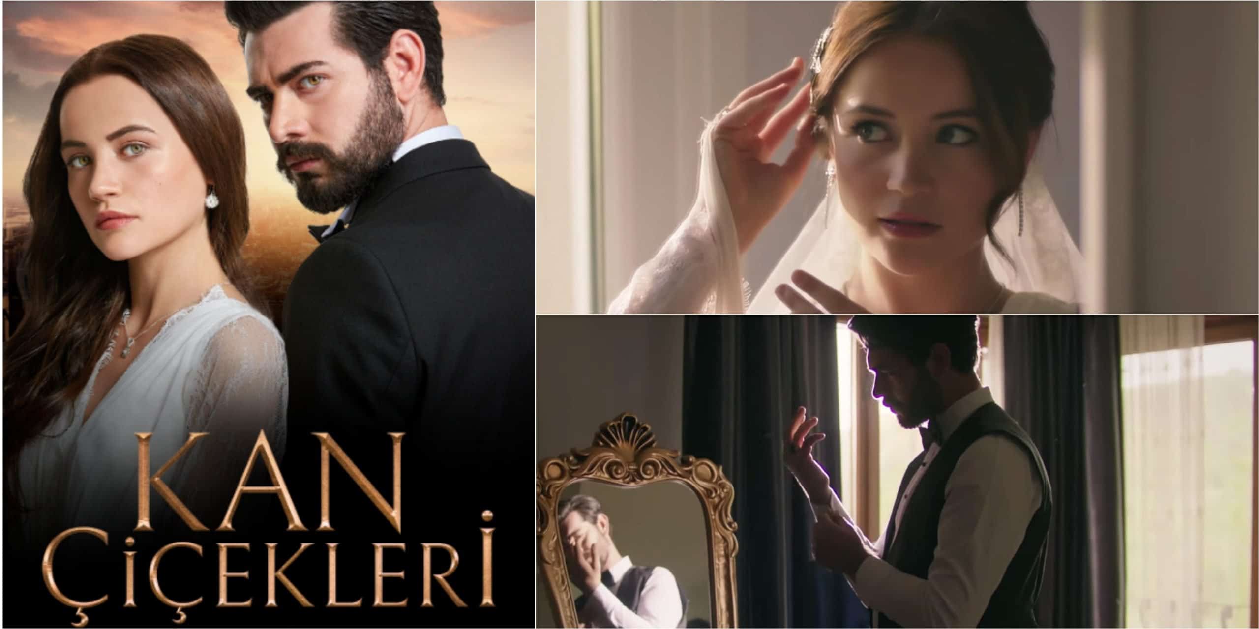 Turkish Romance Drama Kan Çiçekleri Episode 145 Release Date
