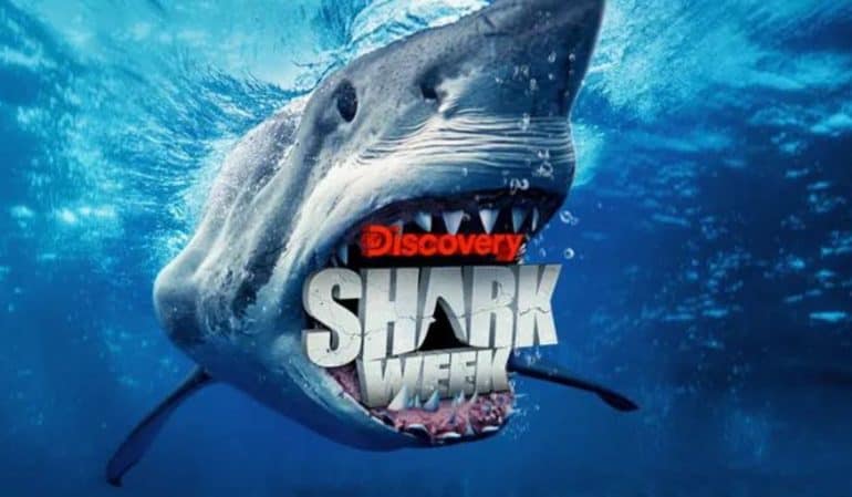 When Does Shark Week Start In Full Guide To Binge Watch Otakukart