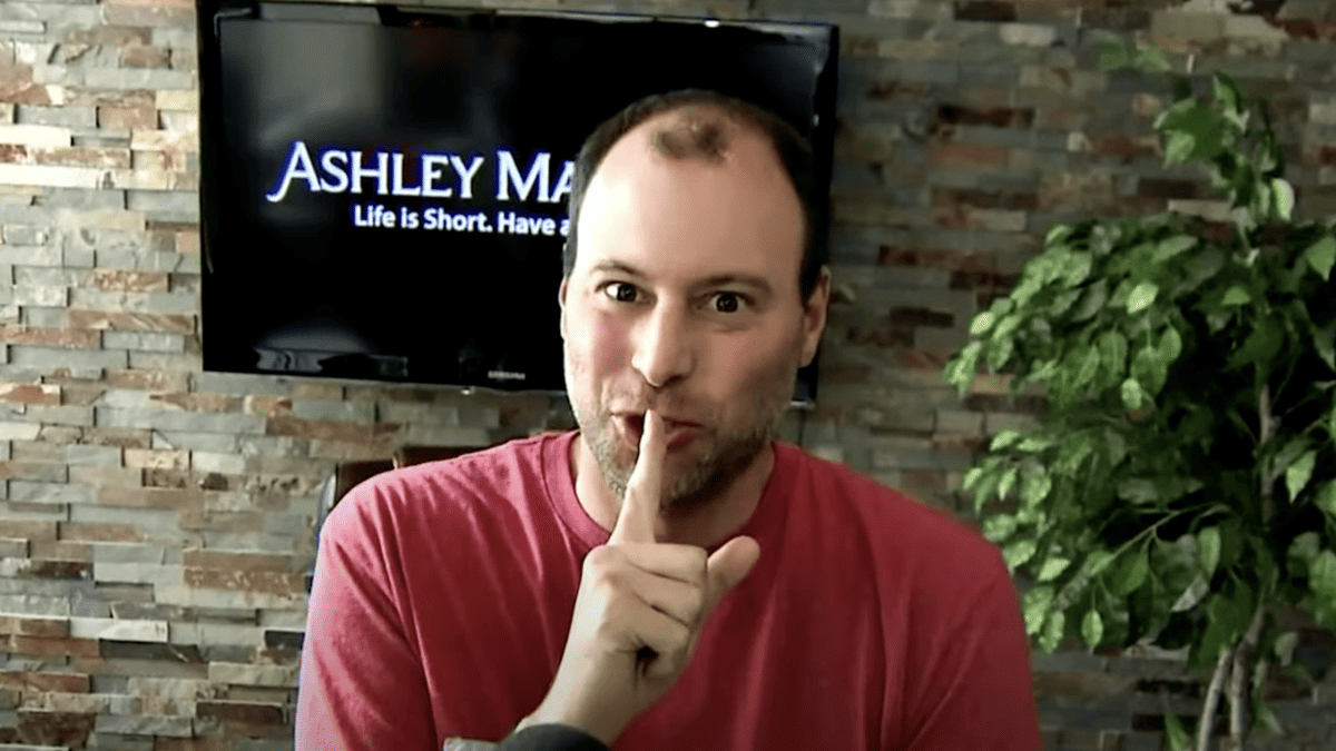 The Ashley Madison Affair Review