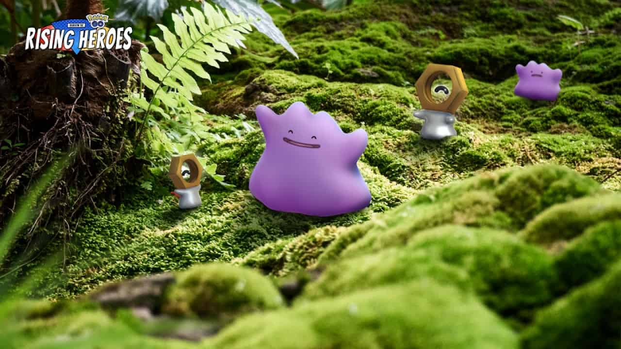 What is the Outlook of Ditto?