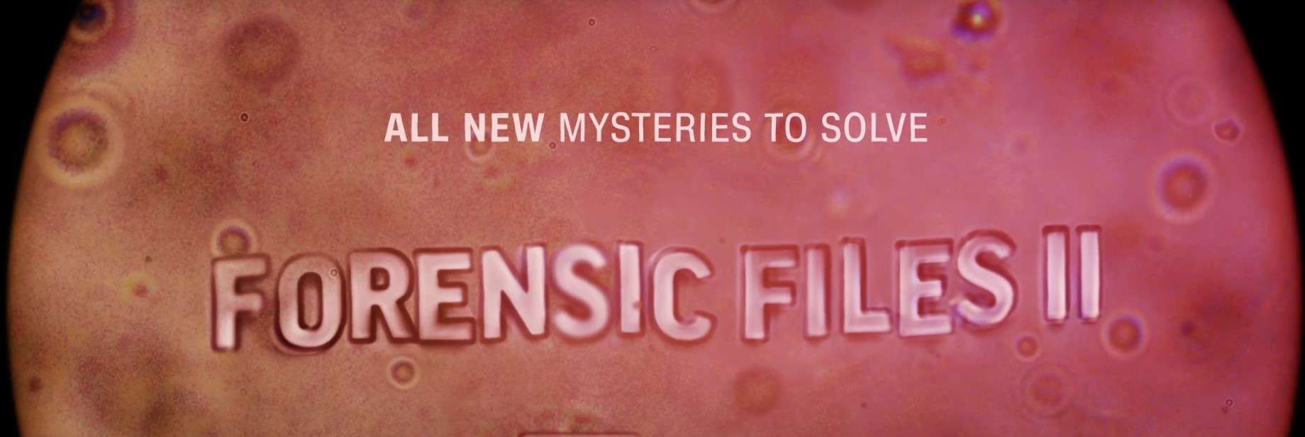 Forensic Files Streaming Guide