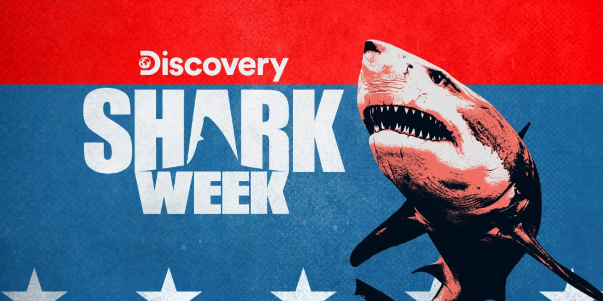 Shark Week Filming Locations Where Is The Documentary Filmed? OtakuKart
