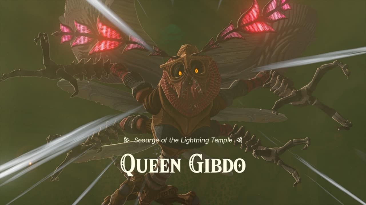 How to Beat Queen Gibdo?