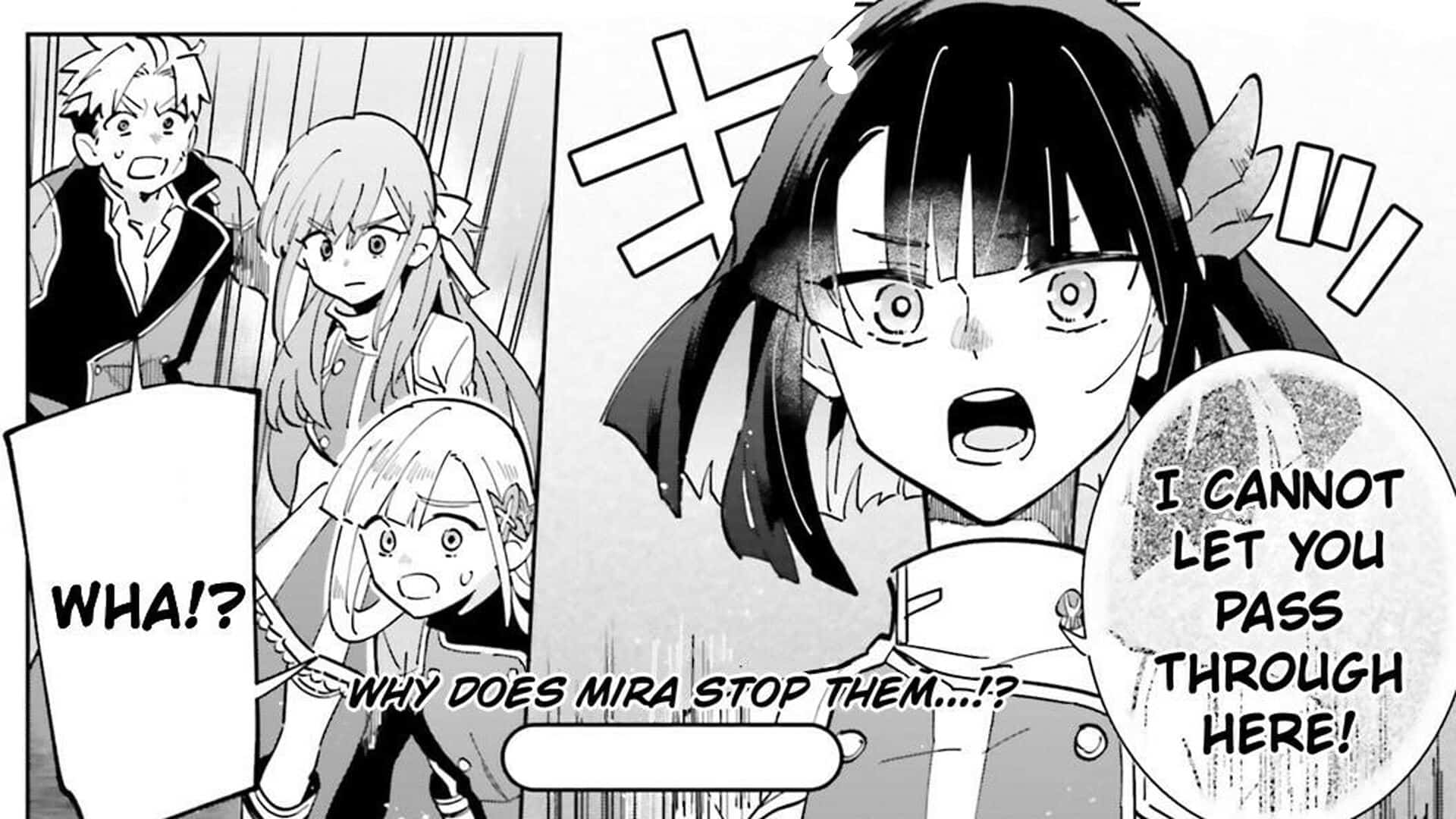 Mira Trying To Stop Elicia, Fran, and Mize From Passing - Kage No Eiyuu No Nichijou-Tan Chapter 31