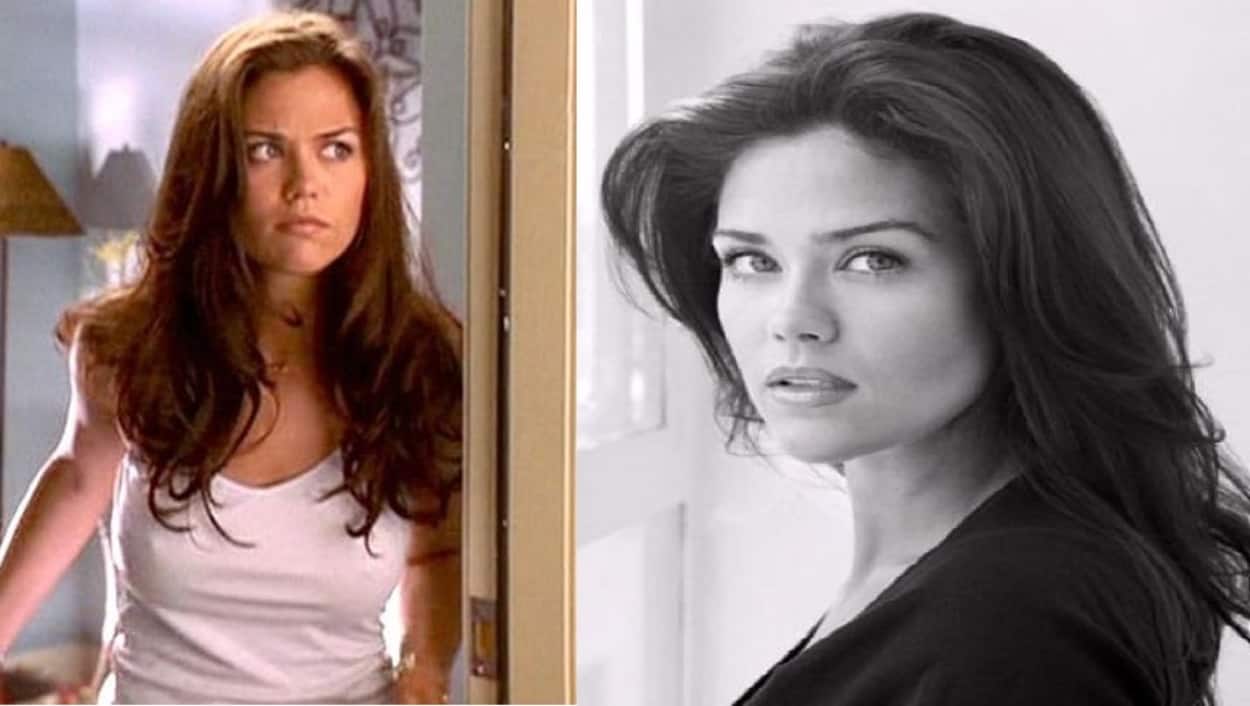 Susan Ward Before And After