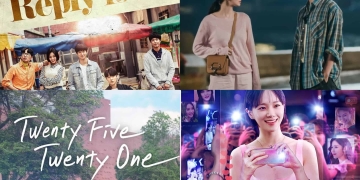 12 Dramas Like Celebrity