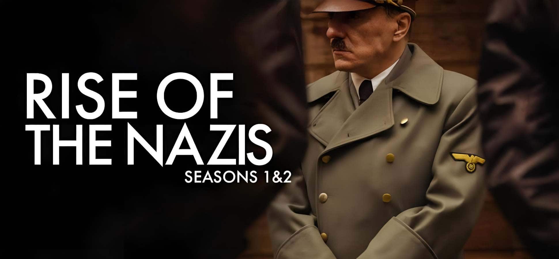 the rise of nazis 