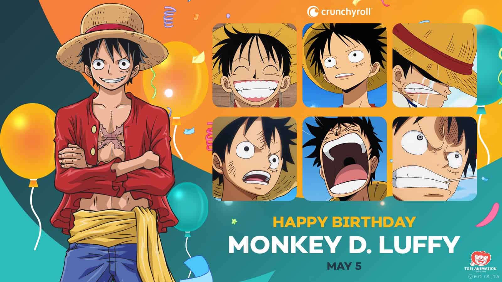 Luffy's Birthday