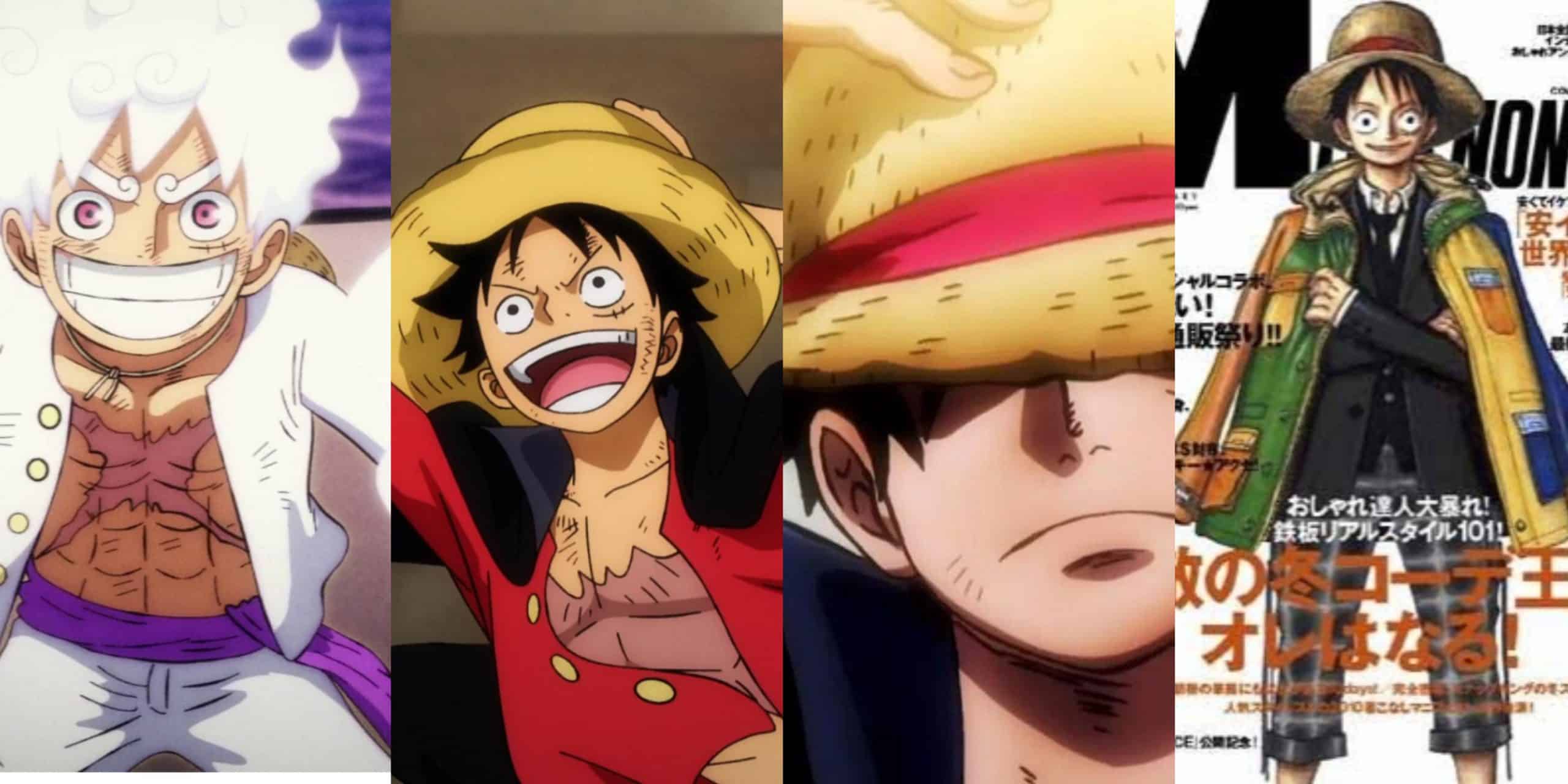Monkey D. Luffy Facts