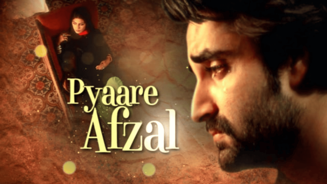 Pyaare Afzal (2013)