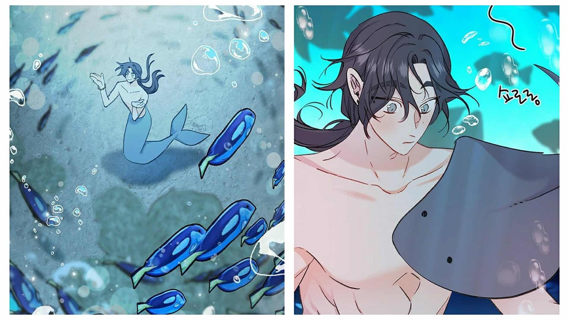 Shim Kai In His Mermaid Form Working At The Aquarium - The Mermaid I Loved Chapter 1