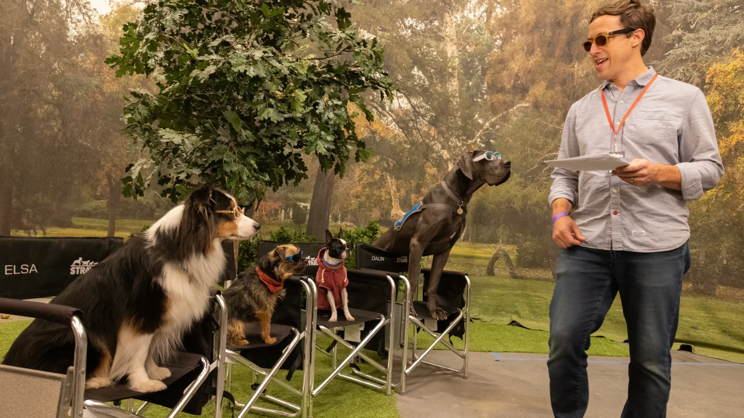 The gang of local dogs in the movie, Strays, shot also in Atlanta (Credits: Universal Pictures)