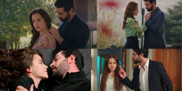 Dramas Like Kan Çiçekleri That You Must Watch Now