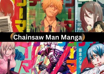 Is The Chainsaw Man Manga Finished