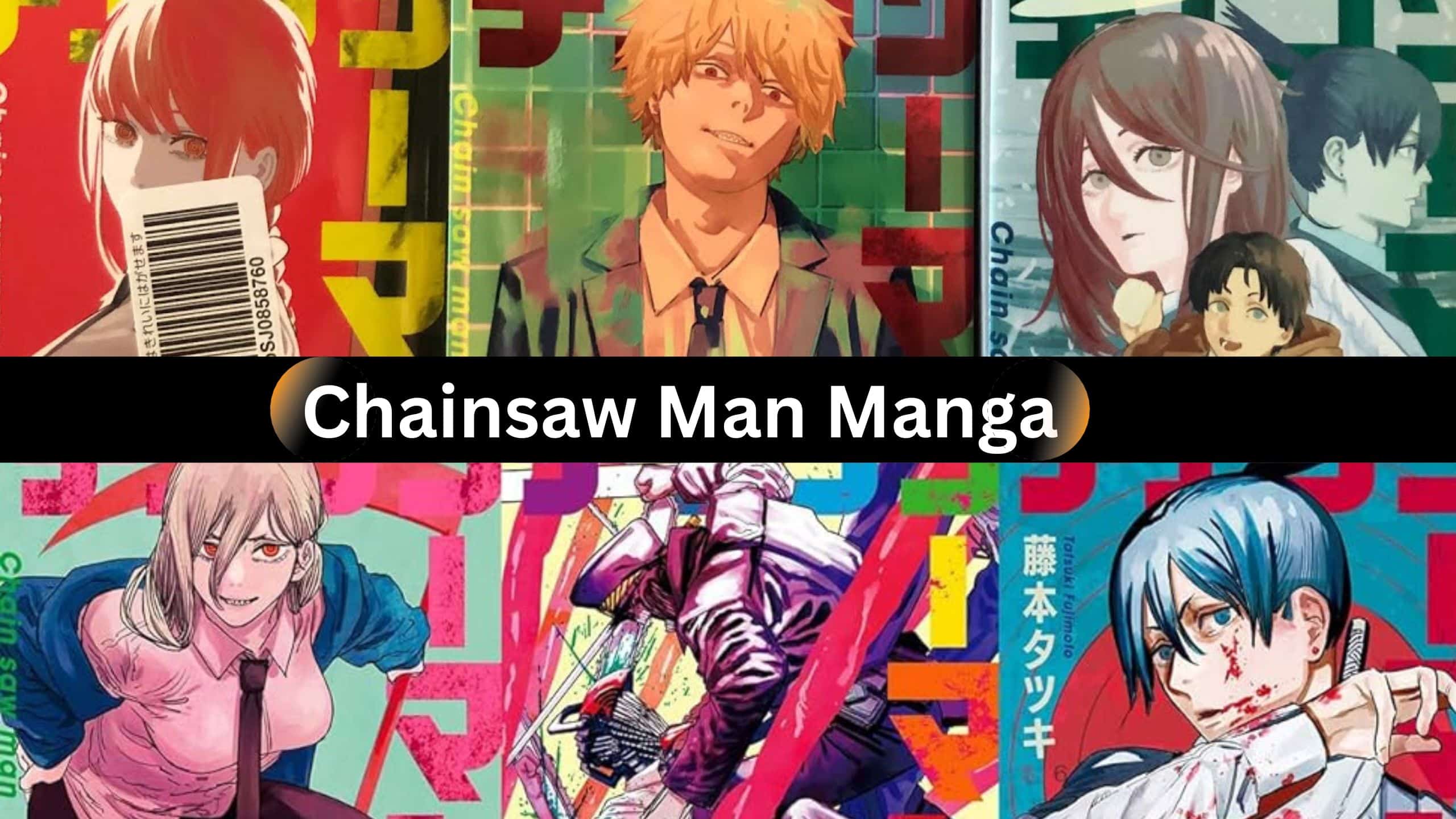 Is The Chainsaw Man Manga Finished