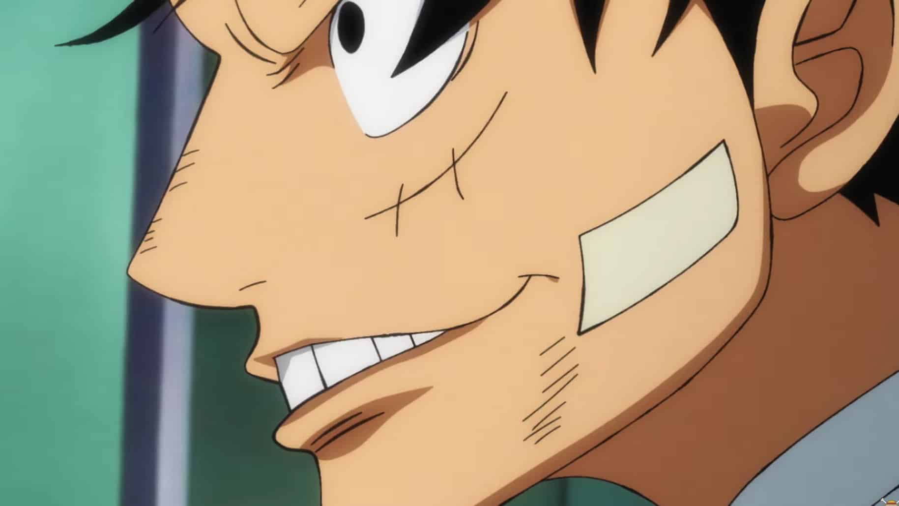 One Piece Episode #1080 Anime Review