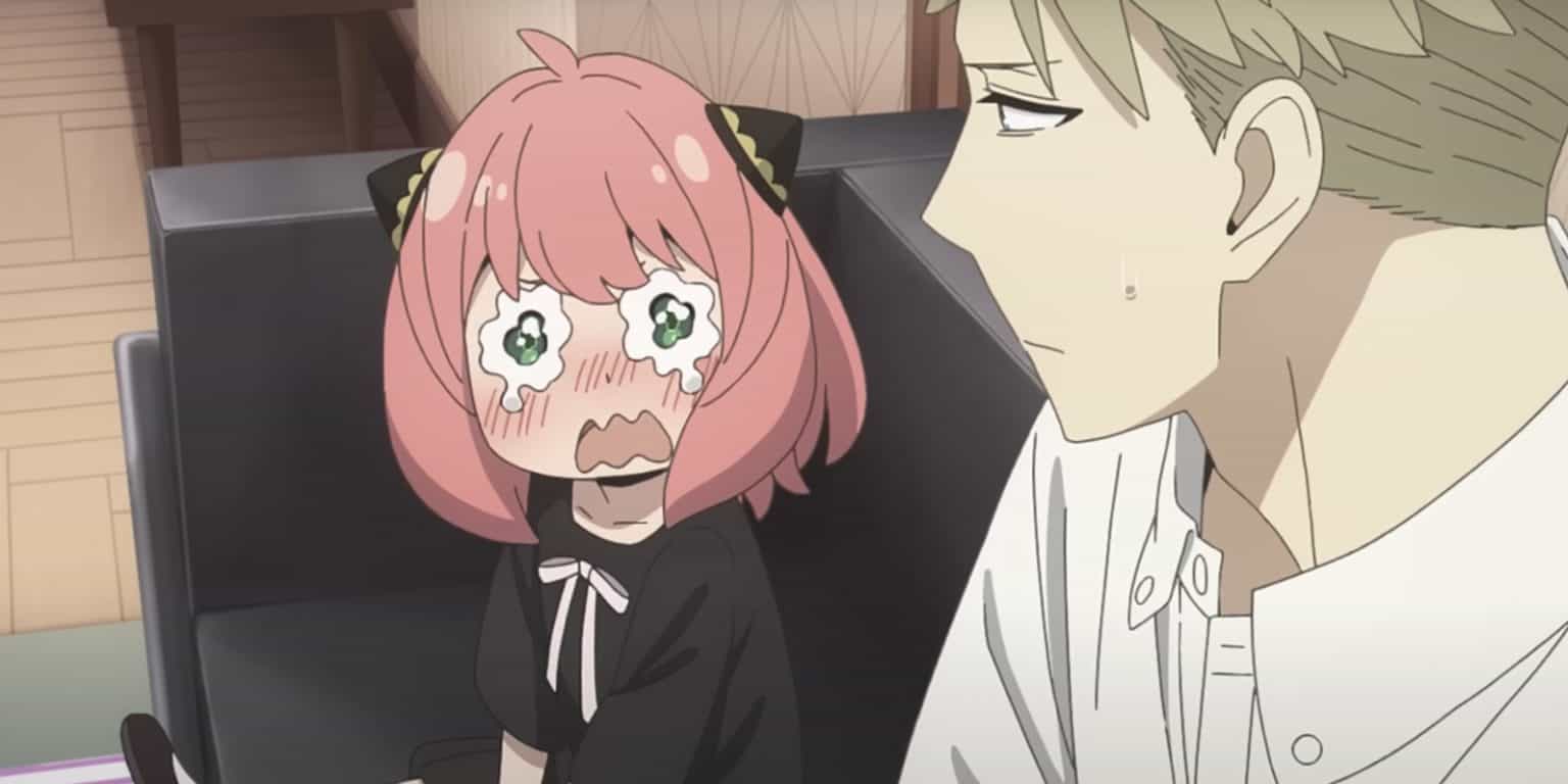 Is Spy x Family Anime Finished? - OtakuKart