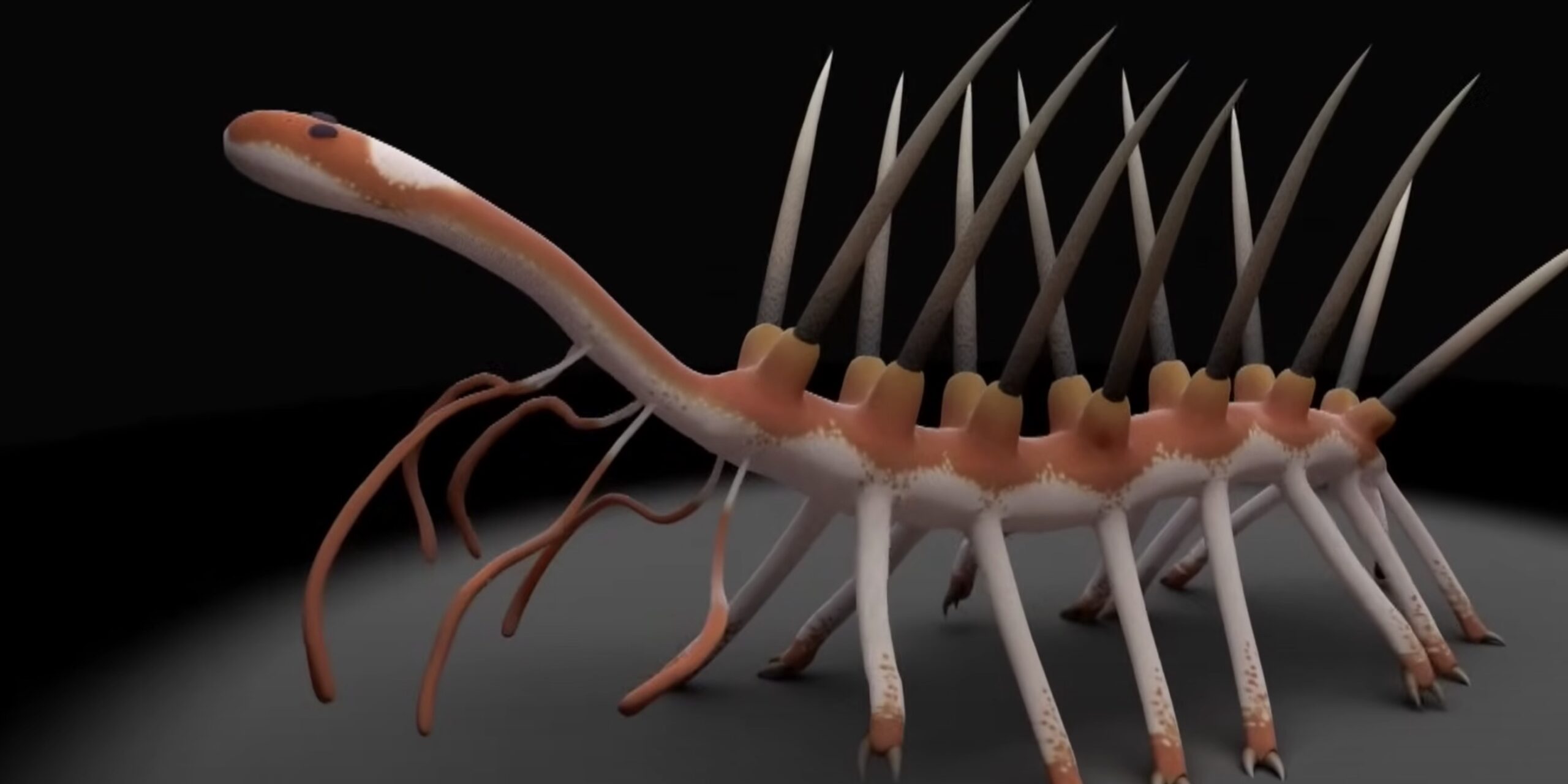 Does the Hallucigenia Worm Featured In Attack on Titan Exist In Reality? Explained