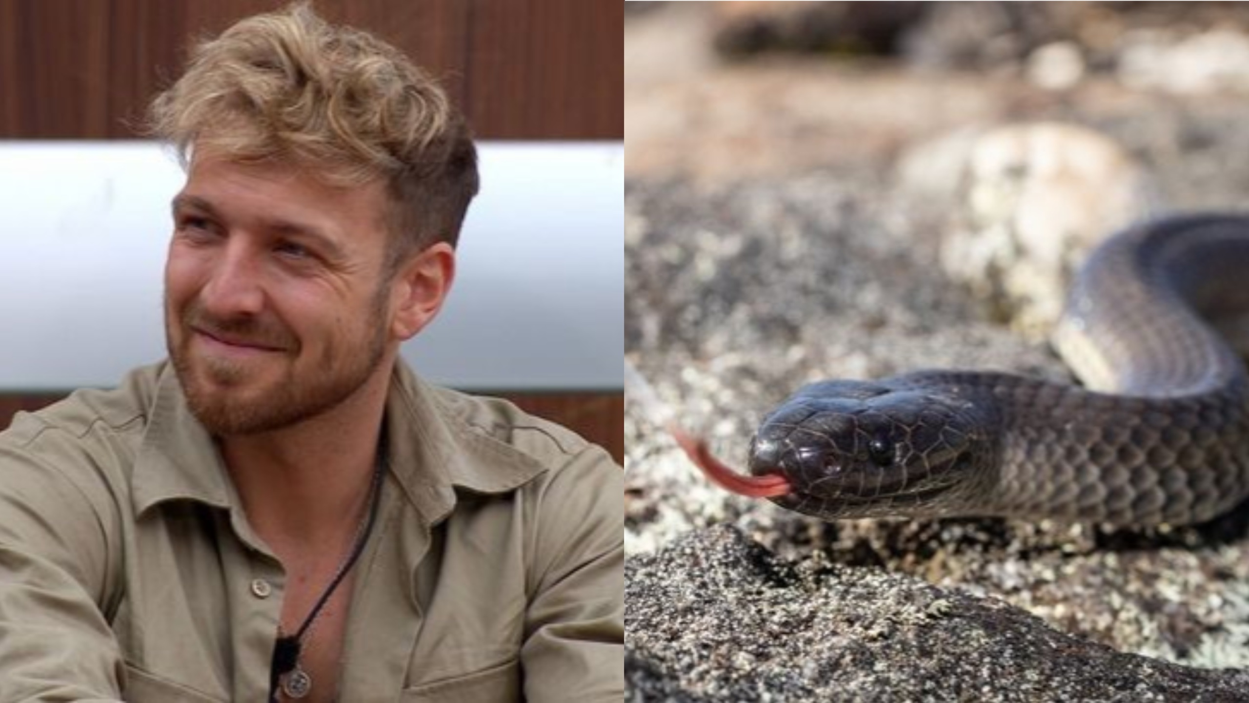 I'm A Celebrity ... Get Me Out Of Here! rangers have been forced to enter the camp after a venomous snake