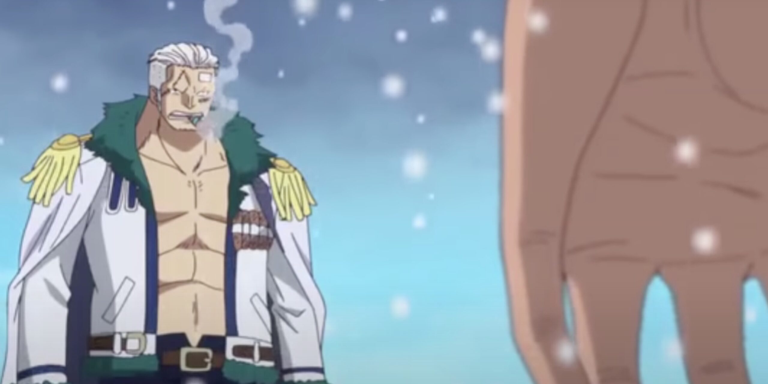 One Character That Just Went Missing In One Piece