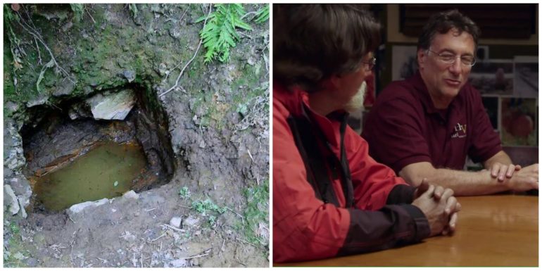 How to Watch The Curse of Oak Island Season 11 Episodes? Streaming