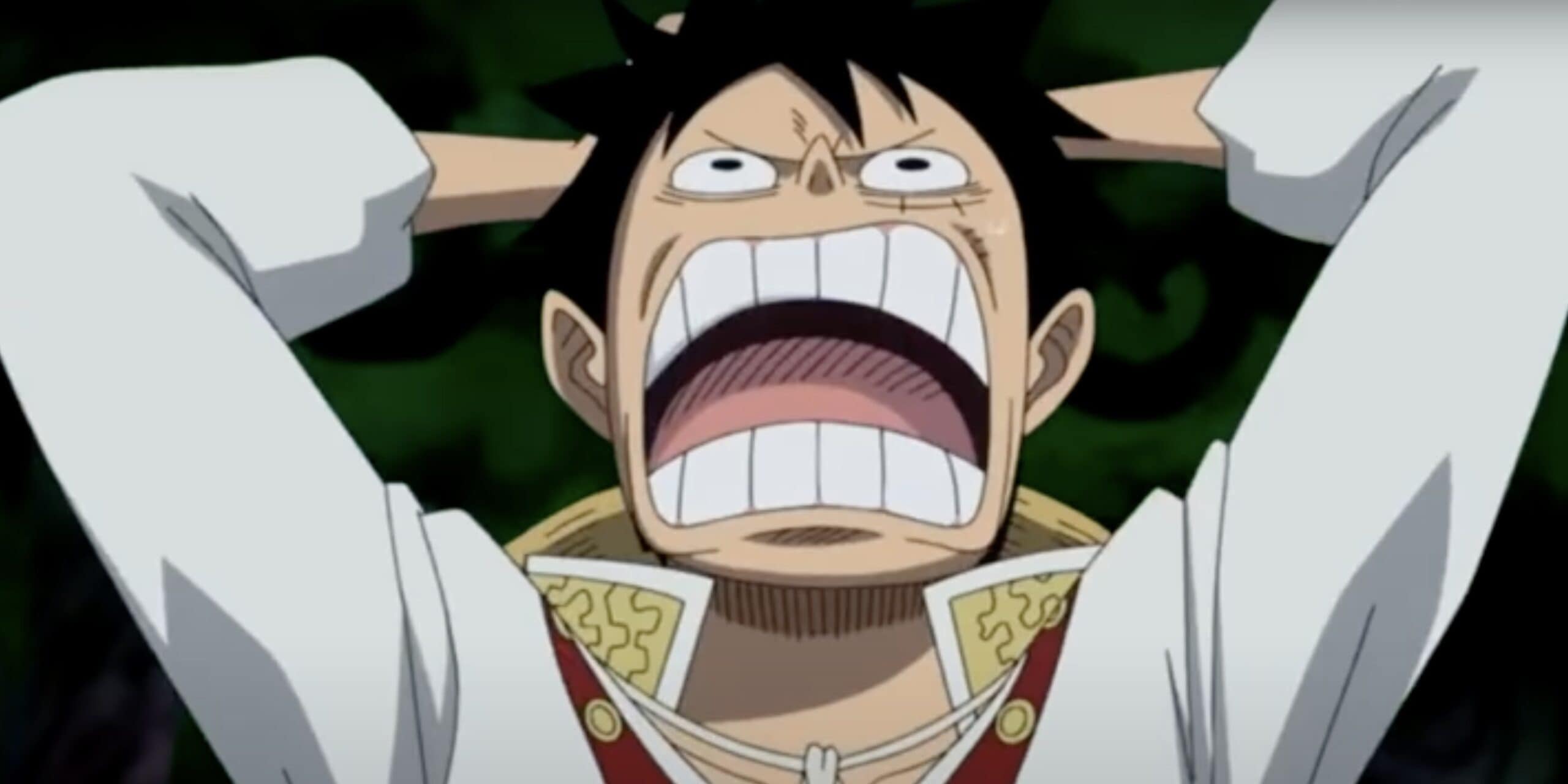 One Piece Anime Fans Boycott the 'Nami Gag' After Two Decades