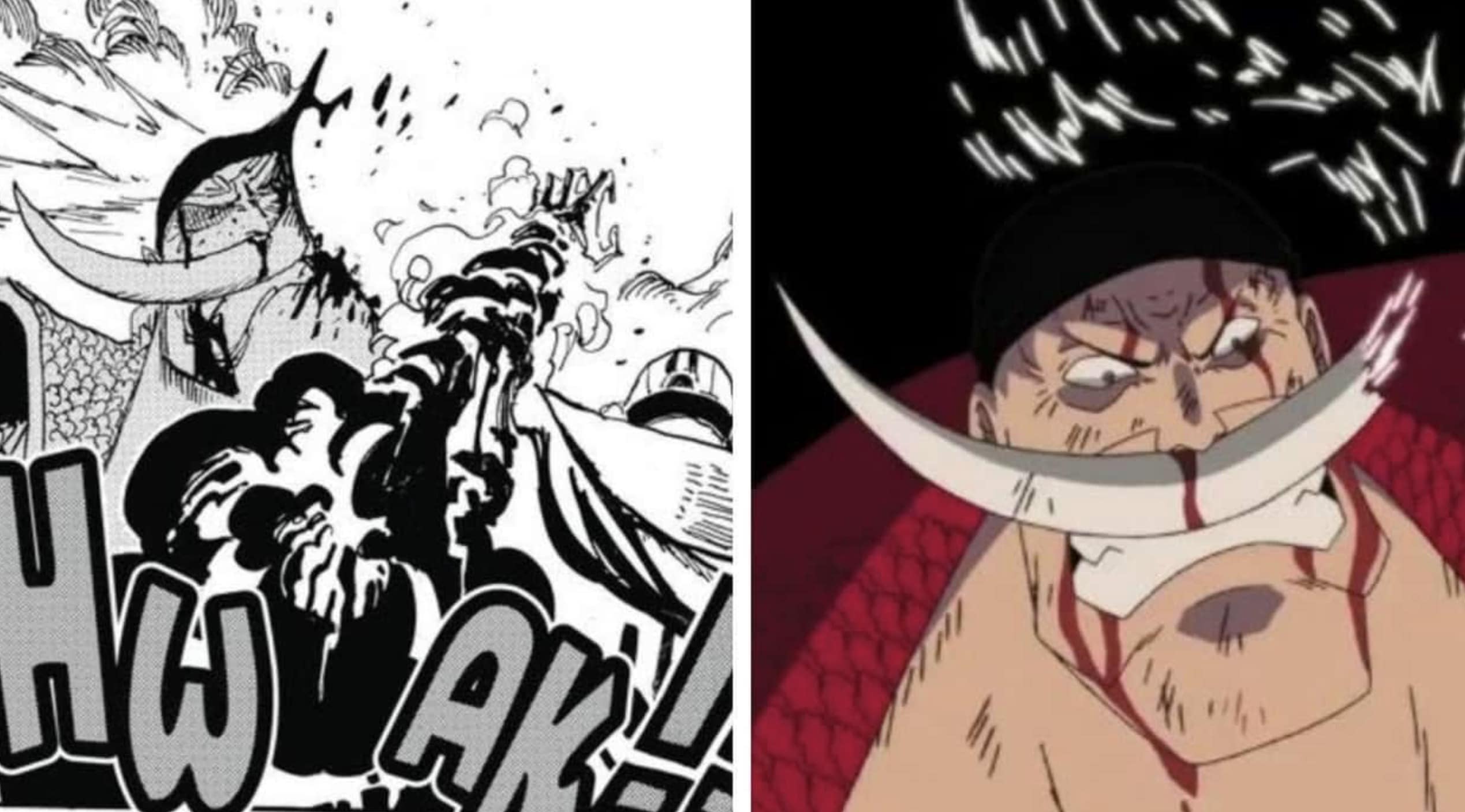 15 Shocking 'One Piece' Scenes Too Intense for the Anime