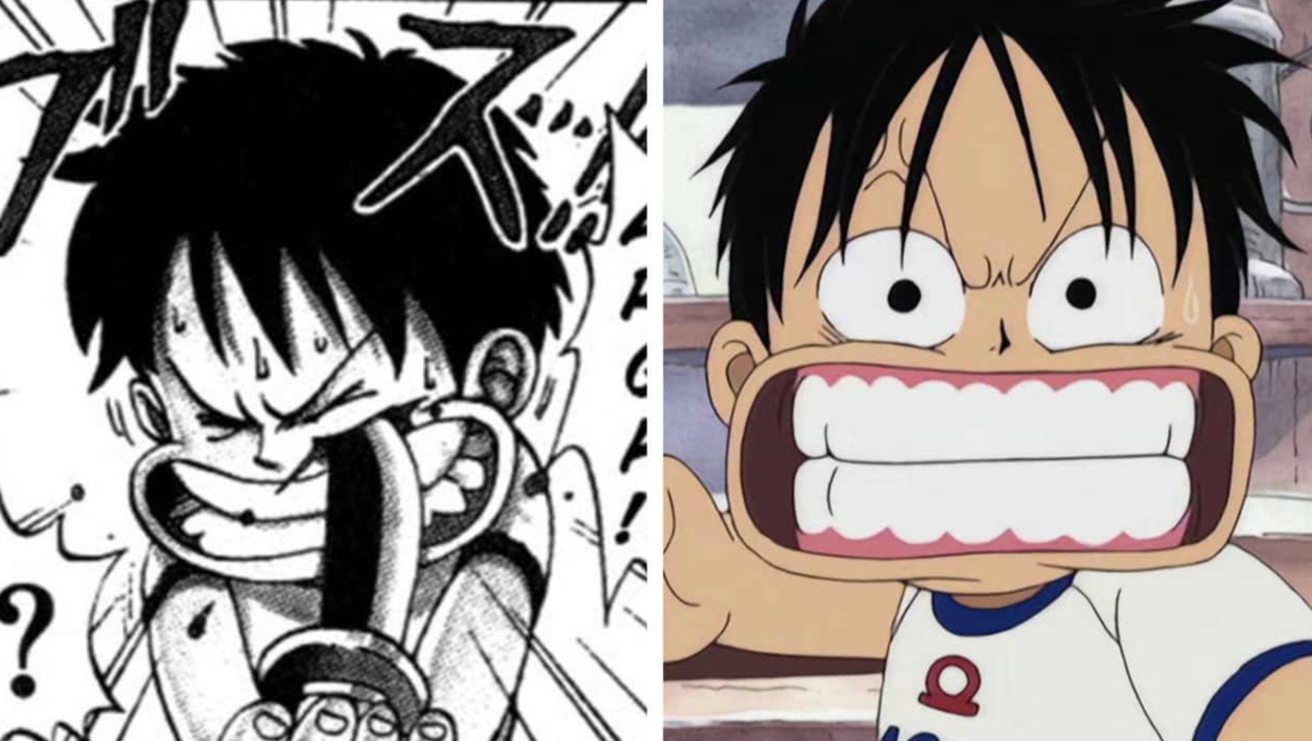 15 Shocking 'One Piece' Scenes Too Intense for the Anime