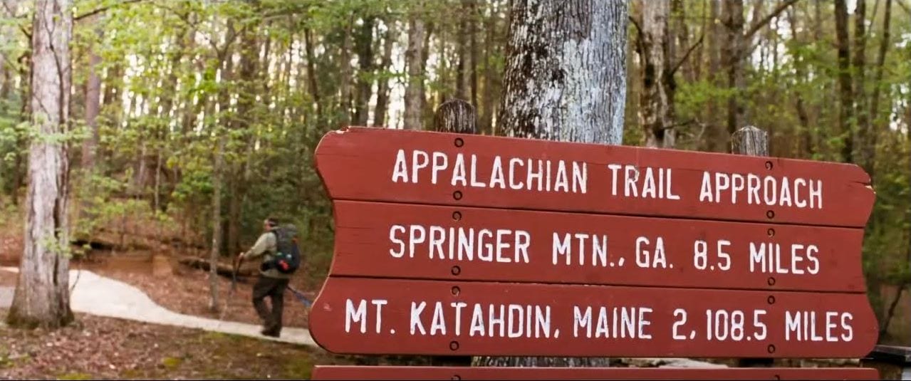 The Appalachian Trails in the film, A Walk in the Woods (Credits: Broad Green Pictures)