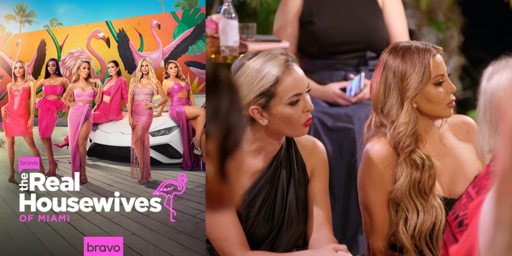 The Real Housewives of Miami Season 6 Episode 7: 'Palm Beach Chaos' Release Date, Spoilers & Recap