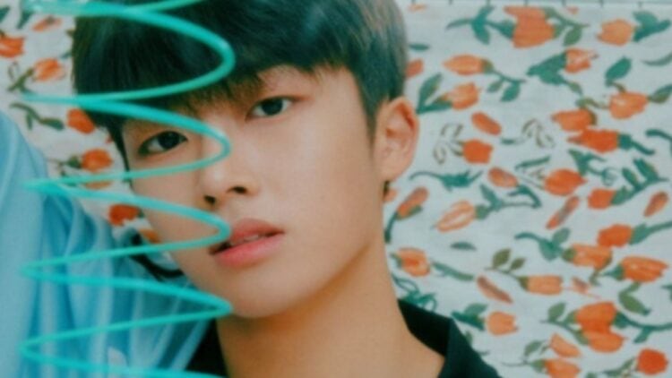 Why Did The Kpop Star Shin Jaewon Left The Wind?