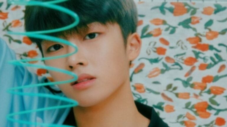 Why Did The Kpop Star Shin Jaewon Left The Wind?