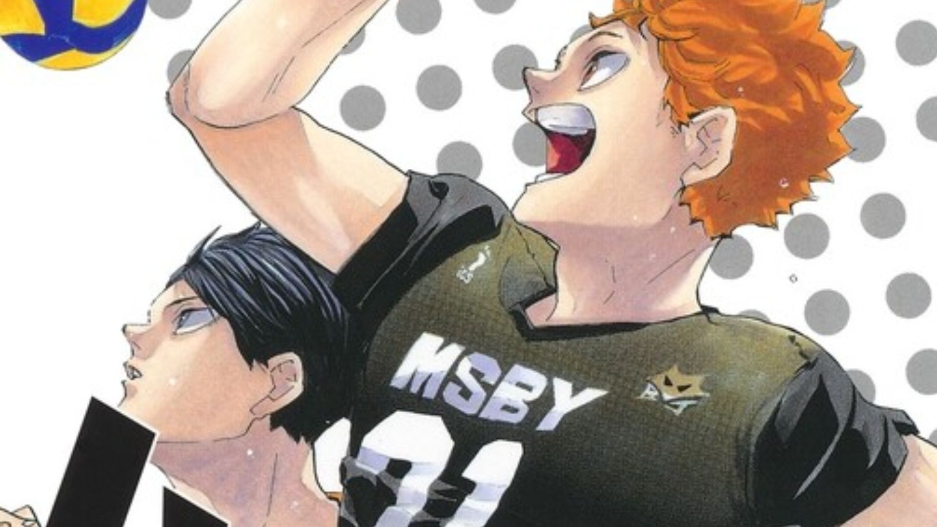 Haikyu!! Manga