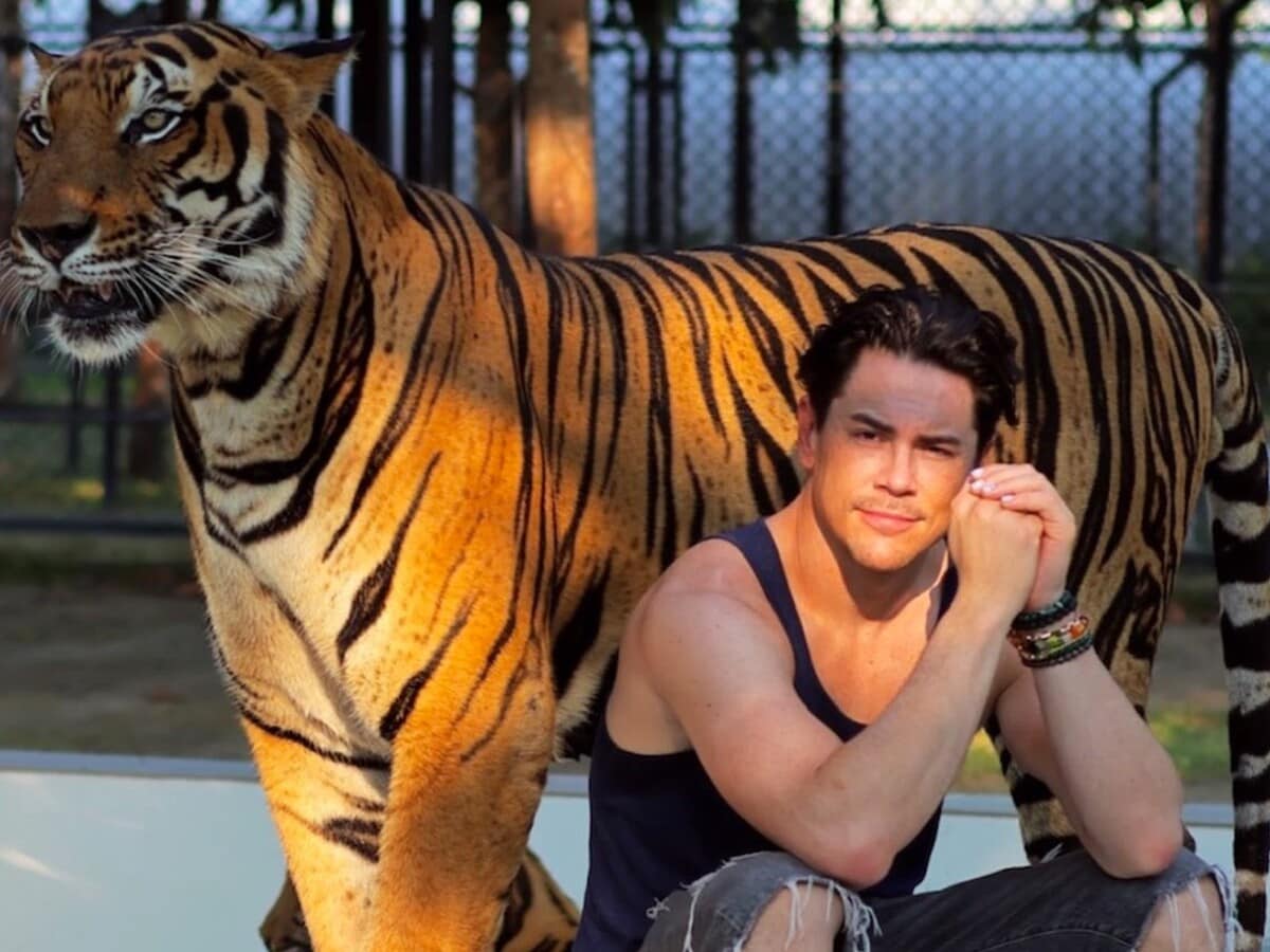 Tom Sandoval poses with a captivated tiger.