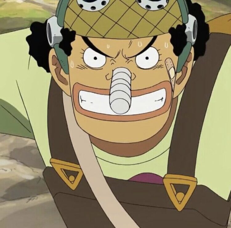 Usopp Before And After Timeskip In One Piece - OtakuKart